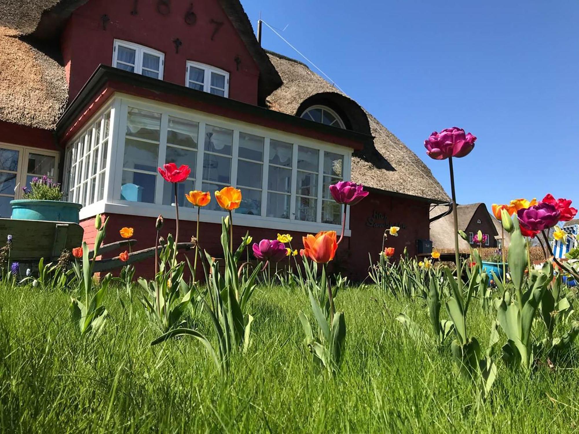 Hues Sanskiin Ferienwohnung *Aawerkant* Suddorf Exterior photo